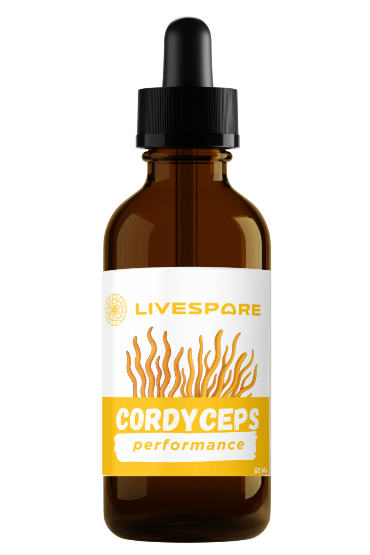 Cordyceps Tincture