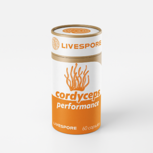 Cordyceps Capsules