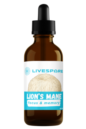 Lion's Mane Tincture