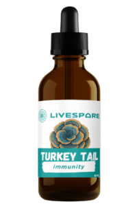 Turkey Tail Tincture