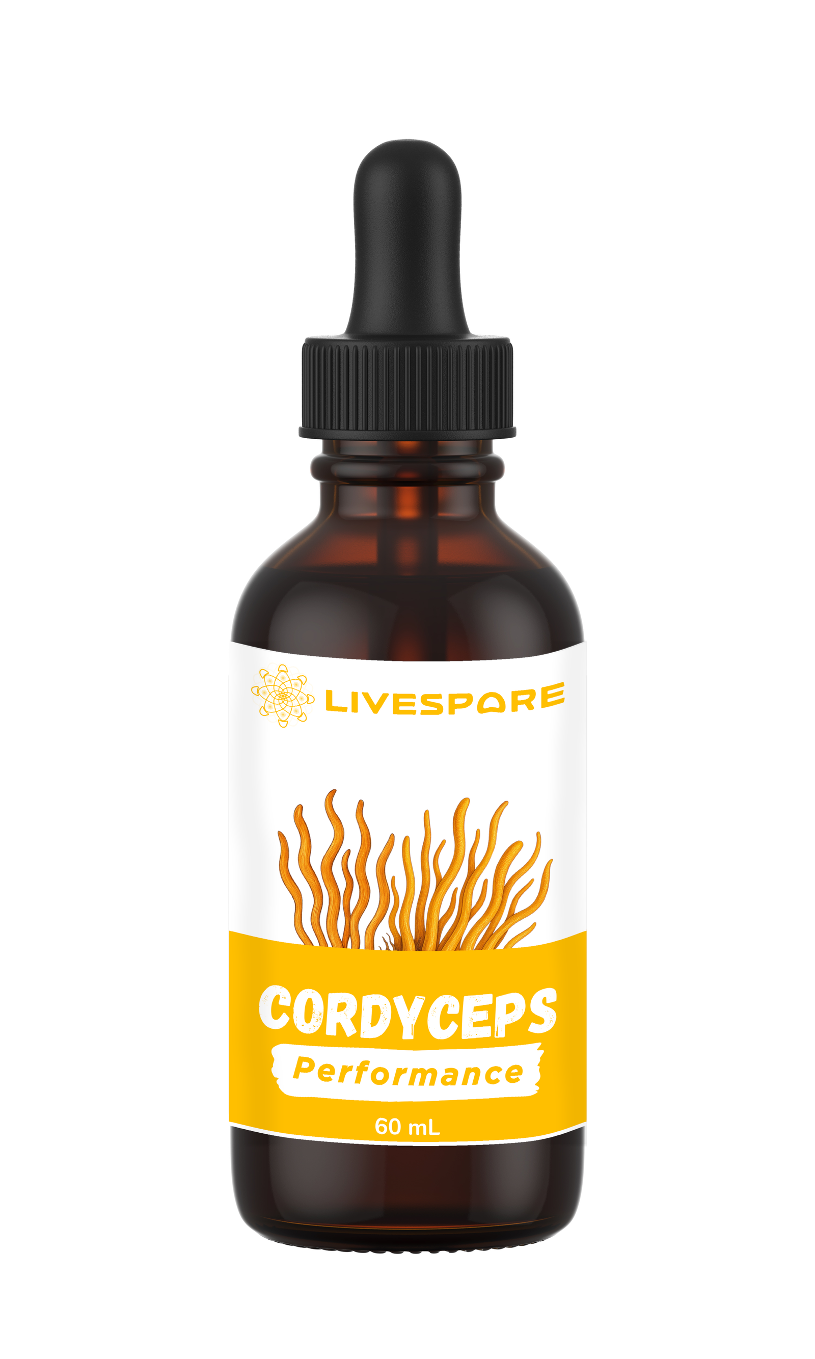 Cordyceps Tincture