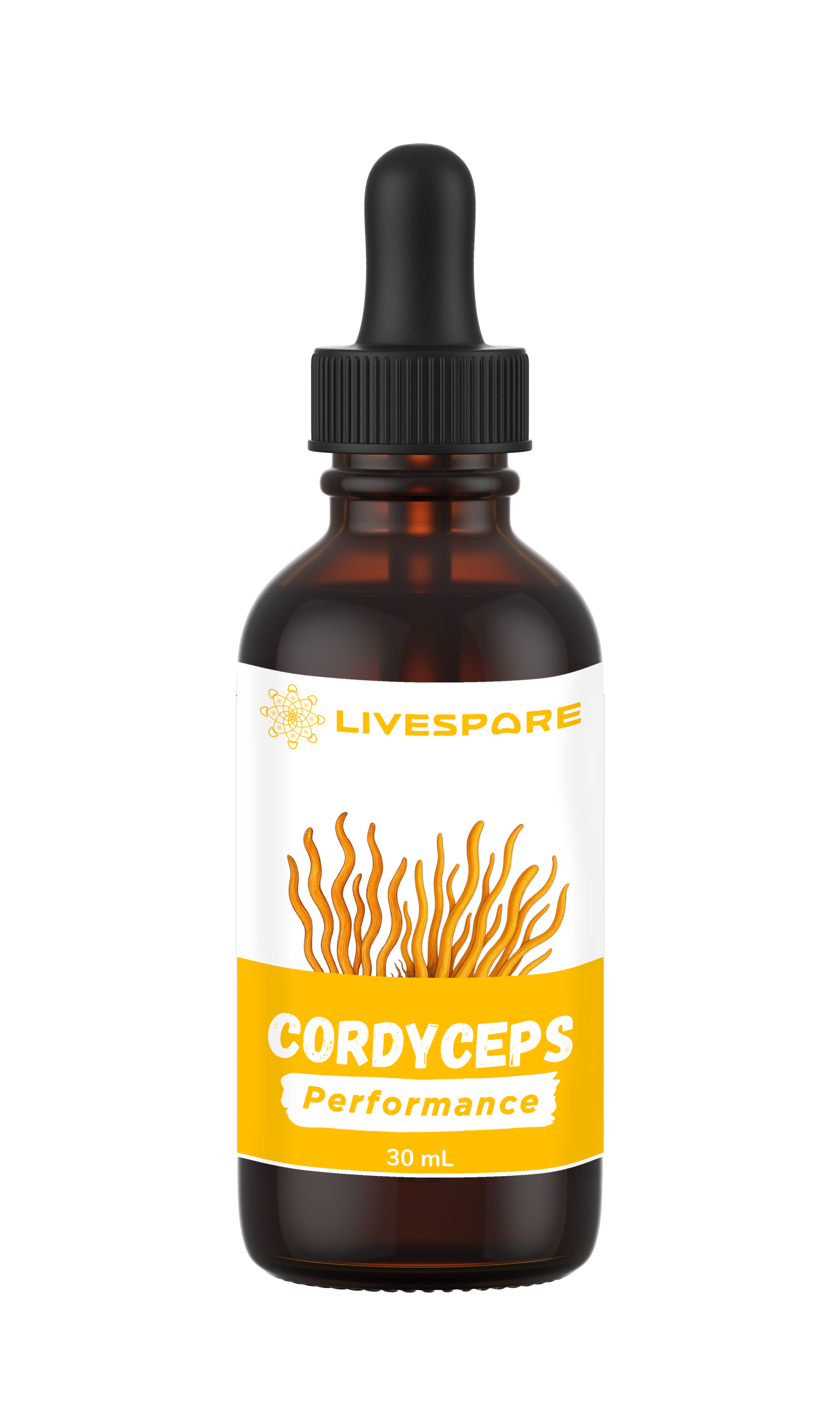 Cordyceps Dual Extract Tincture